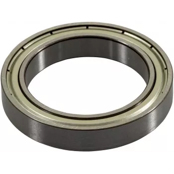 Ricoh G0524618 drukarka/skaner część zamienna/akcesorium Łożysko 1 szt.