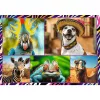 Zestaw puzzli TREFL Funny — 4 x 250 elementów, tematyczny zestaw dla dzieci