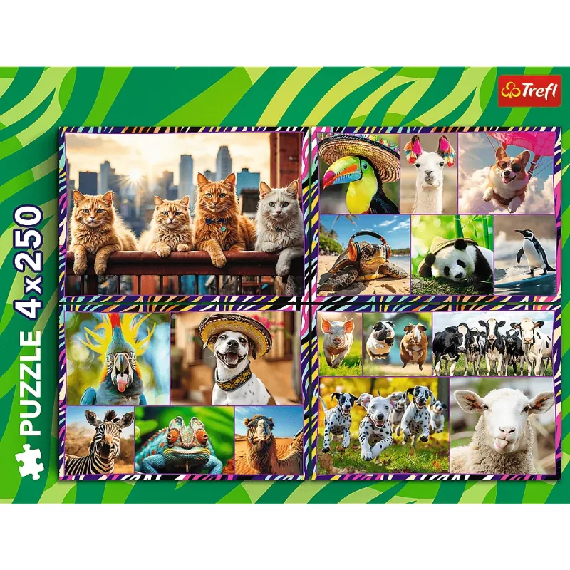 Zestaw puzzli TREFL Funny — 4 x 250 elementów, tematyczny zestaw dla dzieci