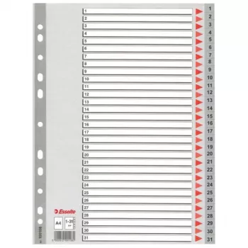 Esselte Index 1-31 PP A4 szary, skorowidz numeryczny, polipropylen (PP), A4, 225 mm, 297 mm, 1 szt.