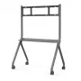 MAXHUB ST33M Stojak mobilny, Szary, Stojak multimedialny, 100 kg, 139,7 cm (55 cali), 2,18 m (86 cali), 800 x 600 mm