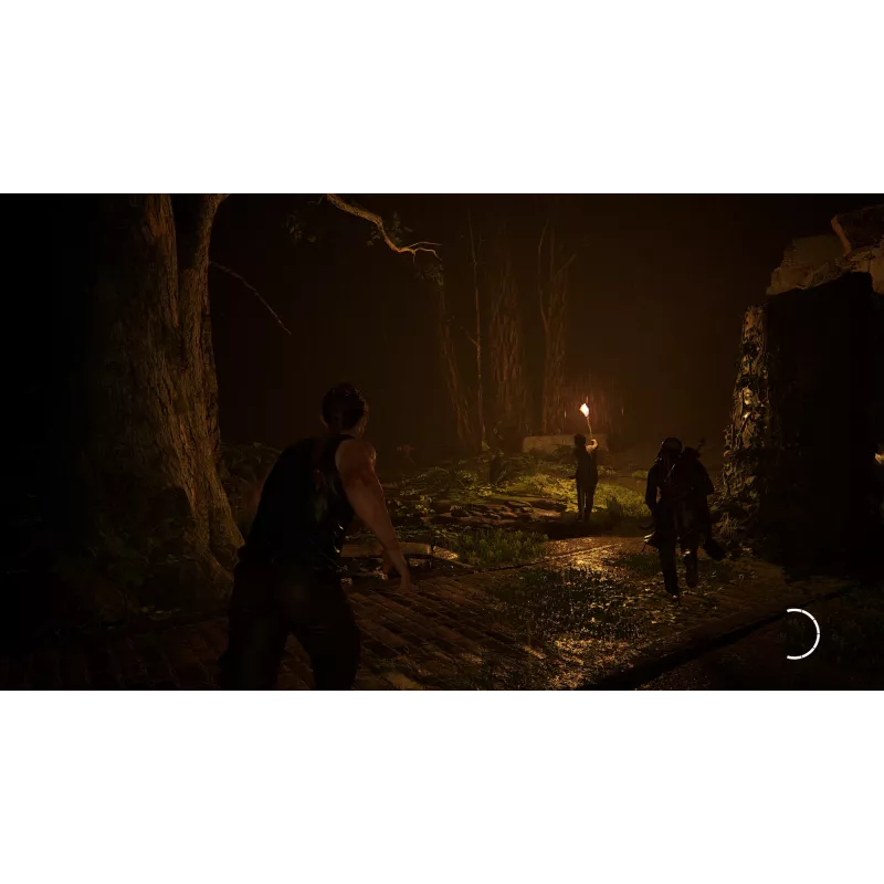 Sony The Last of Us Parte II Remastered, PlayStation 5