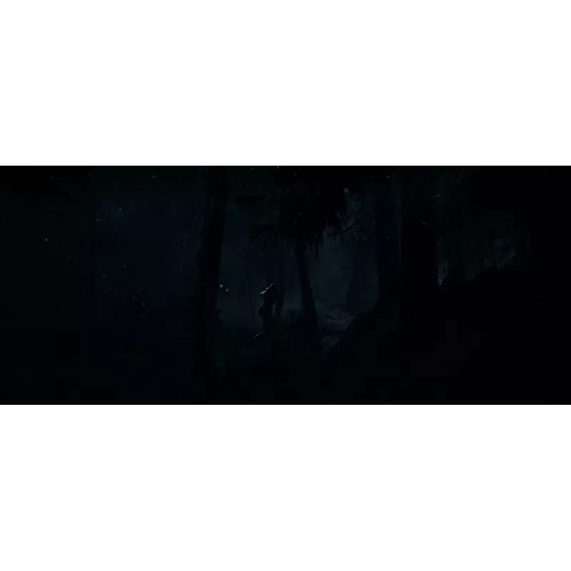 Sony Until Dawn Standard Wielojęzyczny PlayStation 5