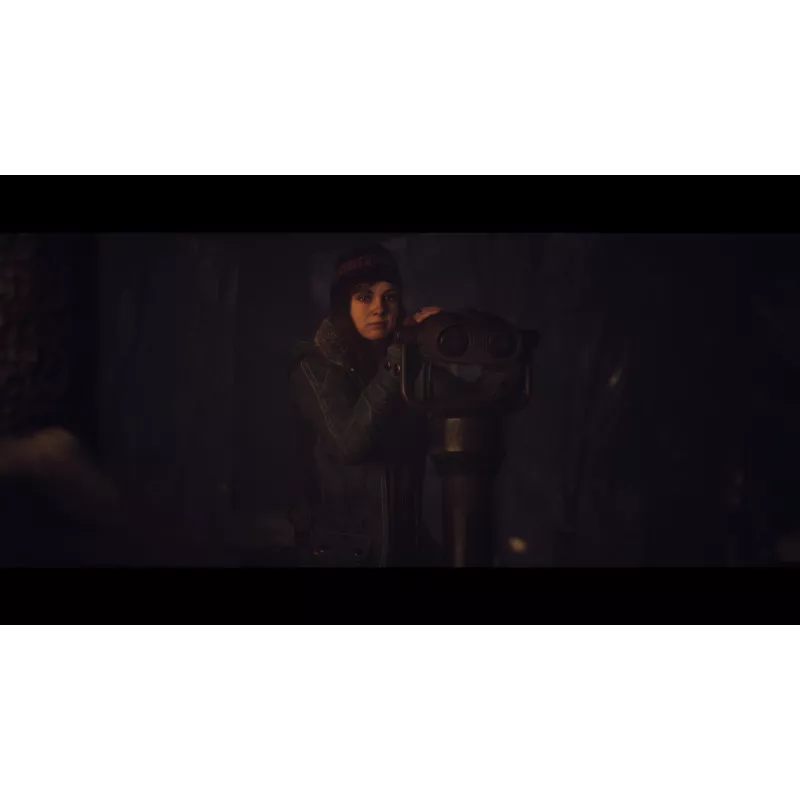 Sony Until Dawn Standard Wielojęzyczny PlayStation 5