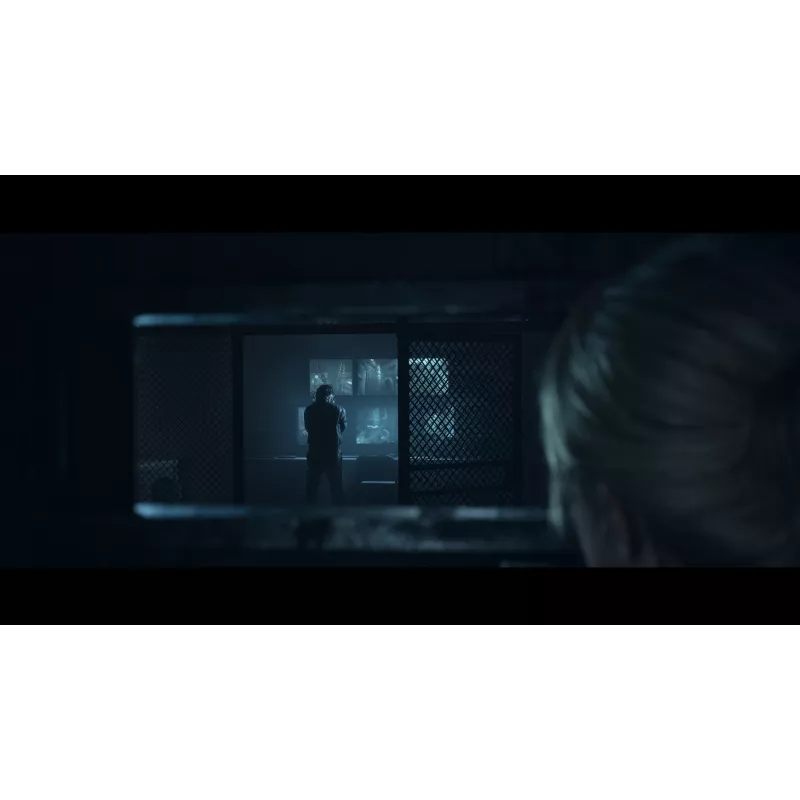 Sony Until Dawn Standard Wielojęzyczny PlayStation 5