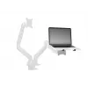 Stojak na laptopa Multibrackets M Laptop Holder Gas Lift Arm Czarny