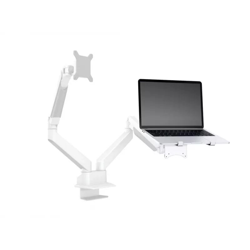 Multibrackets M Laptop Holder Gas Lift Arm srebrny, Podstawka pod laptop, Srebrny, 100 x 100 mm, 500 g, 250 mm, 250 mm