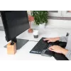 Mousetrapper Delta mysz szary Extended USB-A, USB Type-A, 4000 DPI, Czarny, Szary