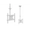 Multibrackets M Public Ceilingmount Medium Single biały 3000 Maks. udźwig 30 kg Min. ekran 32 cale Maks. ekran 55 cali
