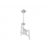 Multibrackets M Public Ceilingmount Medium Single biały 3000 Maks. udźwig 30 kg Min. ekran 32 cale Maks. ekran 55 cali