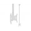 Uchwyt sufitowy Multibrackets M Public Small Single biały 1500 14 kg 10-32 cale