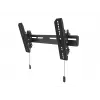 Uchwyt TV Multibrackets M OLED Super cienki Tilt 50 kg 32-65 cali