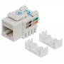 Intellinet Keystone Jack, Cat6, UTP, Punch-down, biały, płaski, biały, RJ-45, żeński, 22/26, Cat6