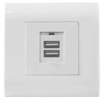 Intellinet 2-Port USB-A Wall Outlet with Faceplate, Two Charging Ports with Safety Cover, 5 V / 2.1 A Output, 80 x 80 European Faceplate
