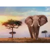 Clementoni African Sunset Jigsaw puzzle 500 szt. Animals