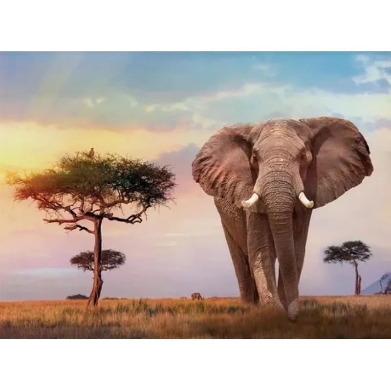 Clementoni African Sunset Jigsaw puzzle 500 szt. Animals