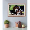 Clementoni High Quality Collection Close Together Puzzle 500 szt. Zwierzęta