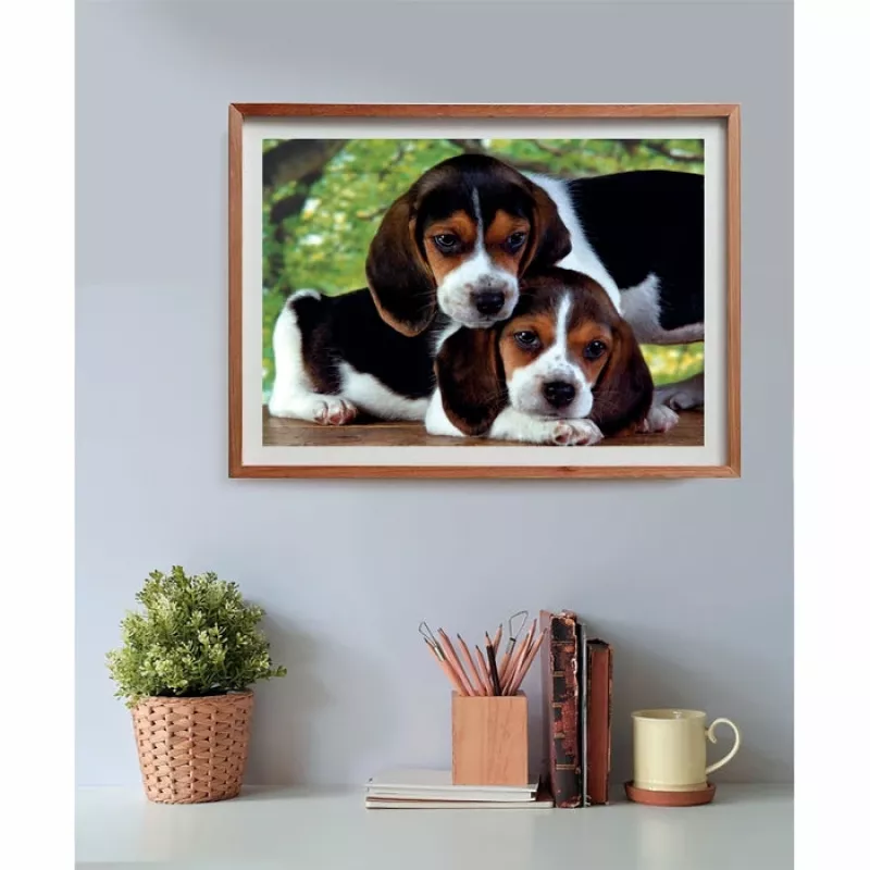 Clementoni High Quality Collection Close Together Puzzle 500 szt. Zwierzęta