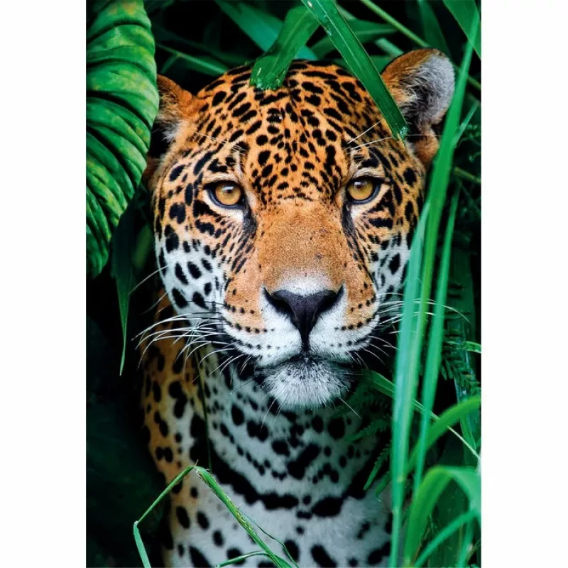 Clementoni High Quality Collection Jaguar in the Jungle Jigsaw puzzle 500 szt. Animals