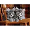 Puzzle Clementoni High Quality Collection 35580 500 szt. Zwierzęta