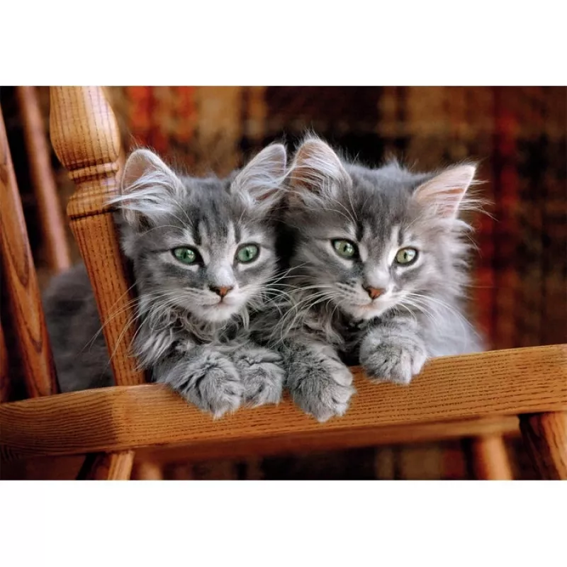 Puzzle Clementoni High Quality Collection 35580 500 szt. Zwierzęta