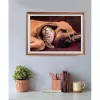Clementoni High Quality Collection 35583 puzzle Jigsaw puzzle 500 szt. Animals