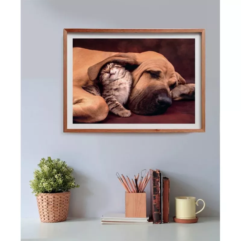 Clementoni High Quality Collection 35583 puzzle Jigsaw puzzle 500 szt. Animals