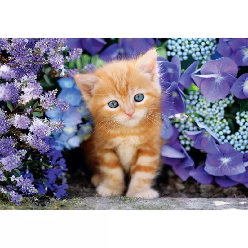 Clementoni High Quality Collection 35585 puzzle Jigsaw puzzle 500 szt. Zwierzęta