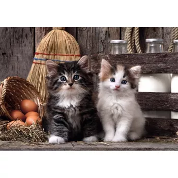 Puzzle Clementoni High Quality Collection 39943 1000 szt. Zwierzęta