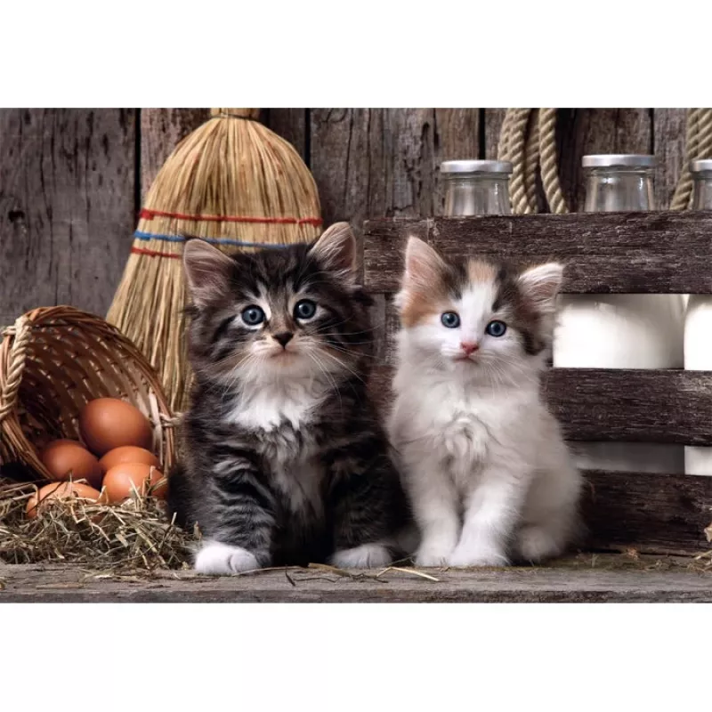 Puzzle Clementoni High Quality Collection 39943 1000 szt. Zwierzęta