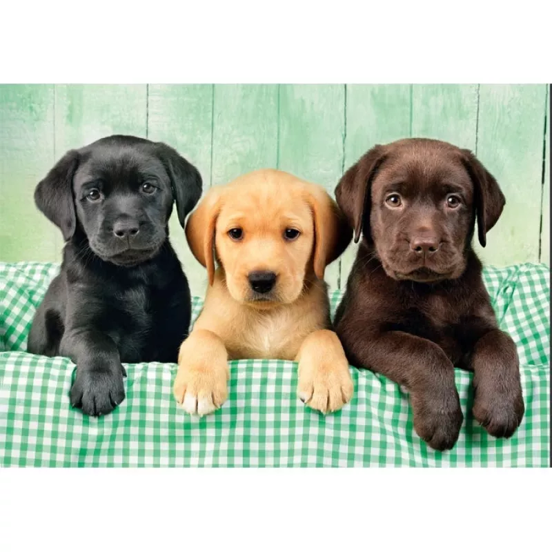 Clementoni High Quality Collection 39946 puzzle Jigsaw puzzle 1000 szt. Animals
