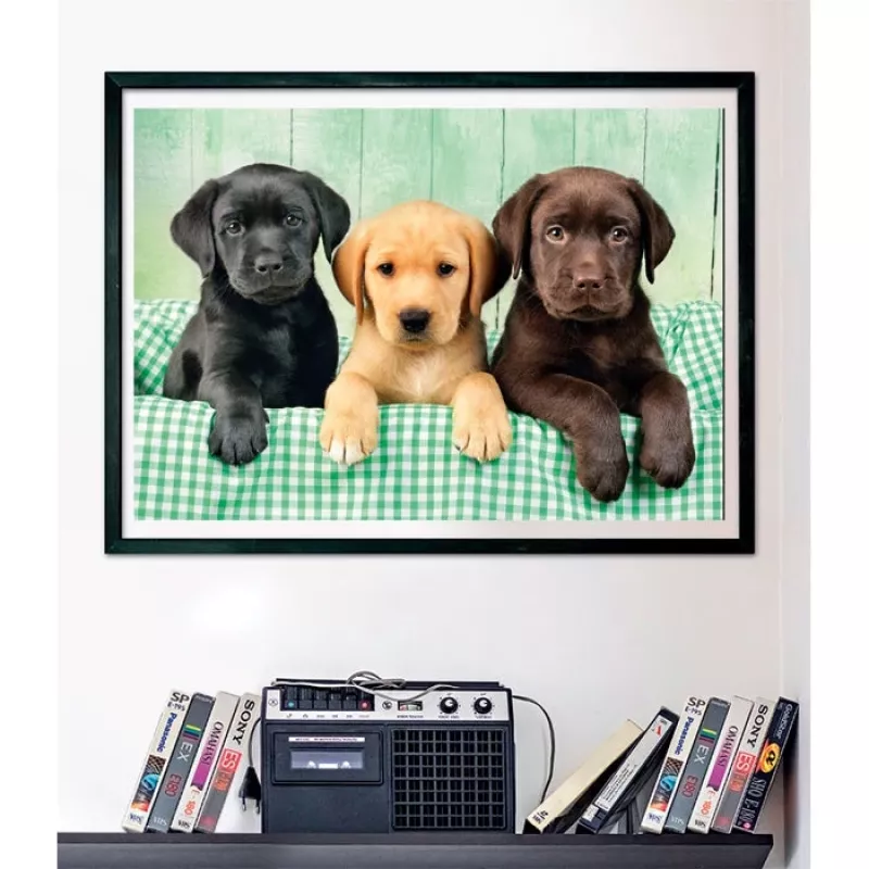 Clementoni High Quality Collection 39946 puzzle Jigsaw puzzle 1000 szt. Animals
