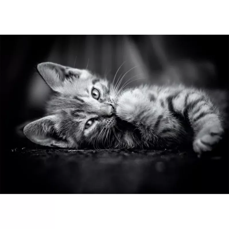 Clementoni High Quality Collection 39950 puzzle Puzzle 1000 szt. Zwierzęta