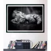 Clementoni High Quality Collection 39950 puzzle Puzzle 1000 szt. Zwierzęta