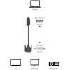 Techly ICOC DSP-C12-030P adapter kabla wideo 3 m DisplayPort DVI-D Czarny