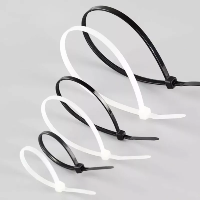 Techly Opaska kablowa nylonowa 100x2,5 mm 100 szt. czarna ISWT-10025-BK