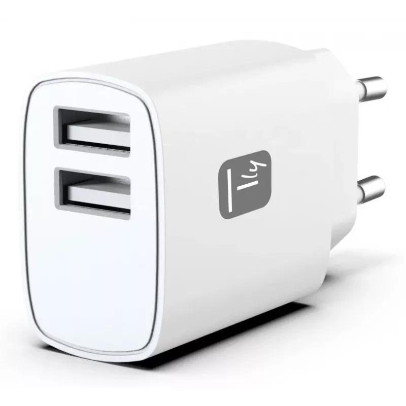 Ładowarka do urządzeń mobilnych Techly IPW-USB-12W2A słuchawki, głośnik przenośny, powerbank, smartfon, tablet biała AC wewnętrzna