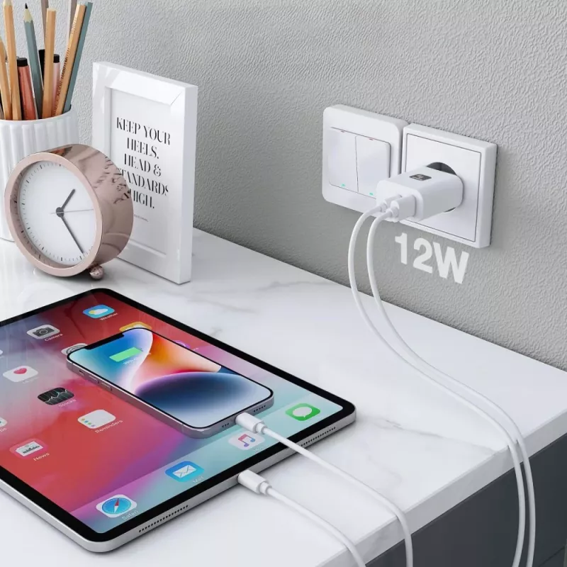 Ładowarka do urządzeń mobilnych Techly IPW-USB-12W2A słuchawki, głośnik przenośny, powerbank, smartfon, tablet biała AC wewnętrzna
