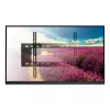 Techly ICA-PLB 262L Uchwyt/stoC5sok do telewizora 177,8 cm (70 cali) Czarny