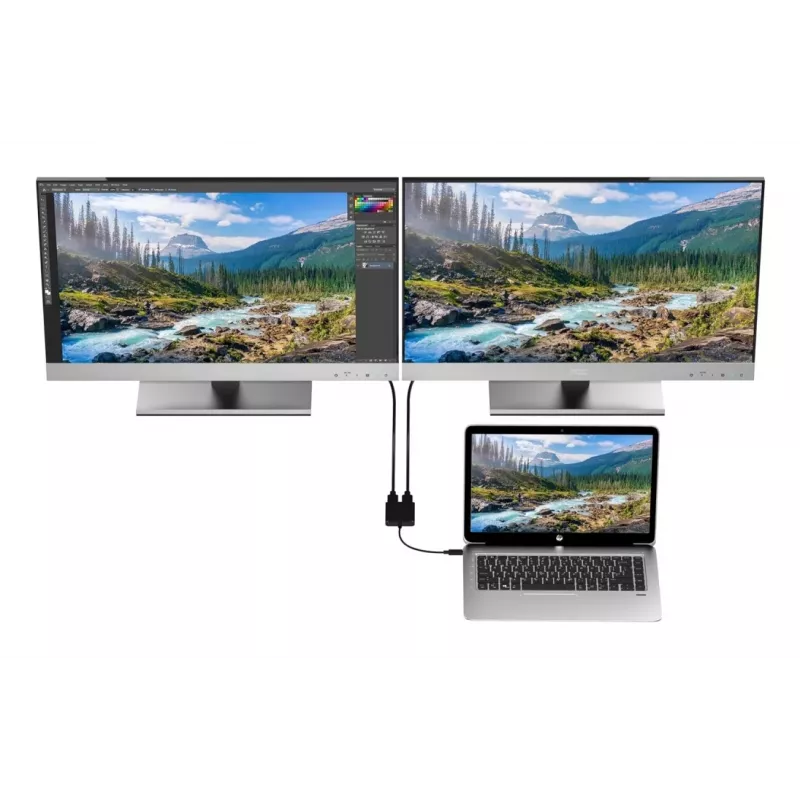 Techly IADAP USBC-HDMI2T4K adapter kabla wideo 0,15 m USB Type-C 2 x HDMI Czarny