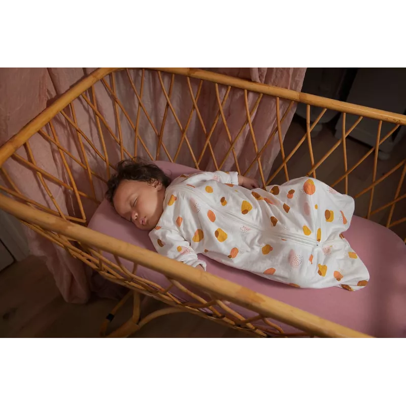 Kamera Philips AVENT Connected SCD921/26 1080p 400m Wi-Fi