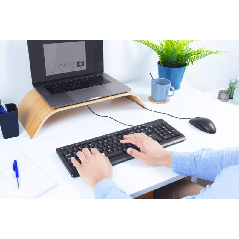 Klawiatura Trust Primo uniwersalna USB AZERTY belgijska czarna