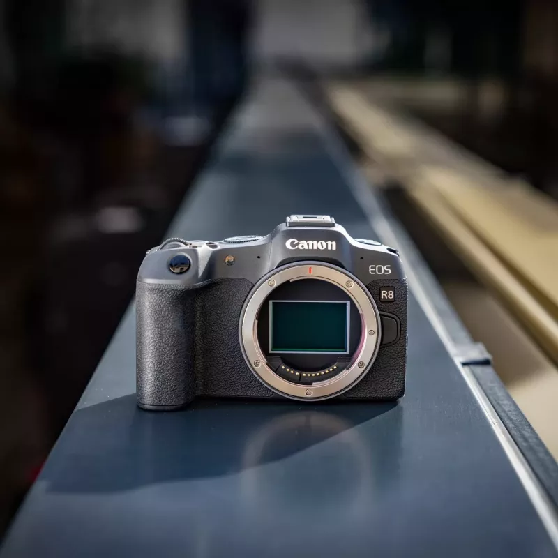 Canon EOS R8 + RF 24-105mm F4-7.1 IS STM MILC 24.2 MP CMOS 6000 x 4000 pikseli Czarny