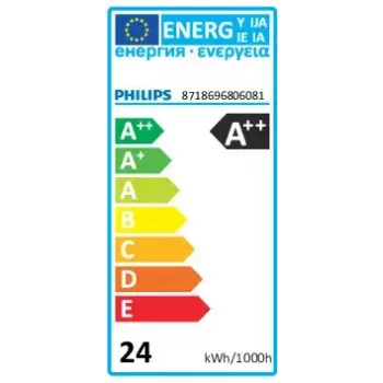 Philips Master LED bulb 6500 K 24 W G13 3100 lm 50000 h
