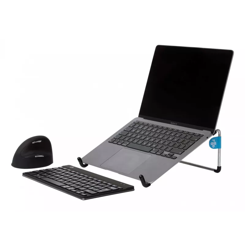 R-Go Tools R-Go Steel Basic Laptop Stand, srebrny, srebrny, Stal, 25.4 cm (10 cali), 55.9 cm (22 cale), 5 kg, 0 - 110 mm