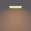 Philips Funkcjonalny Panel Sufitowy Lampa Sufitowa 36 W Prostokątny