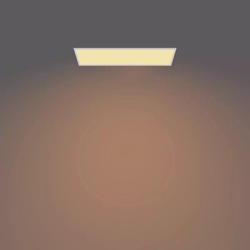 Philips Funkcjonalny Panel Sufitowy Lampa Sufitowa 36 W Prostokątny