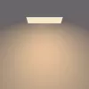 Philips Funkcjonalny Panel Sufitowy Lampa Sufitowa 36 W Prostokątny