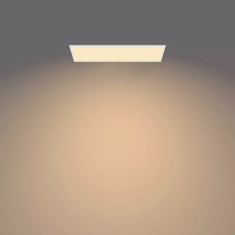 Philips Funkcjonalny Panel Sufitowy Lampa Sufitowa 36 W Prostokątny