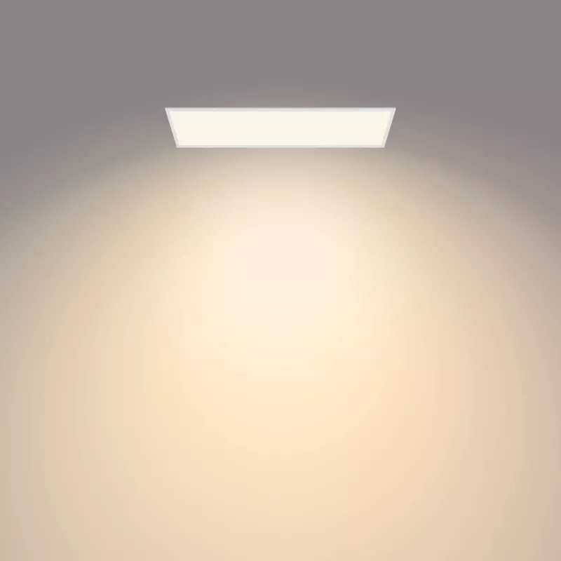 Philips Funkcjonalny Panel Sufitowy Lampa Sufitowa 36 W Prostokątny